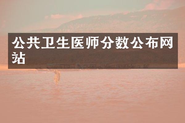 公共卫生医师分数公布网站