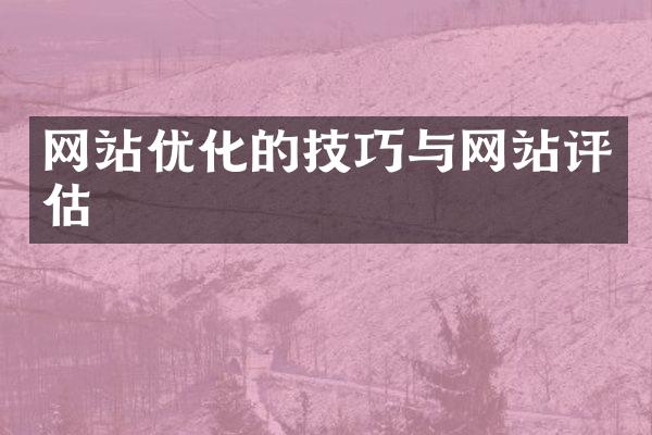 网站优化的技巧与网站评估