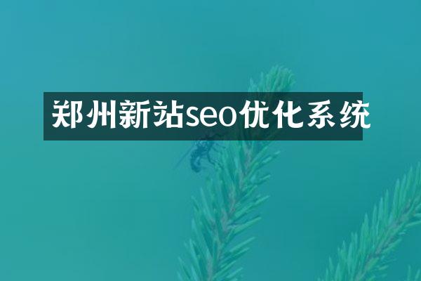 郑州新站seo优化系统