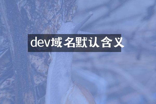 dev域名默认含义