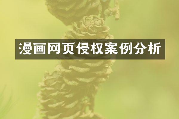 漫画网页侵权案例分析