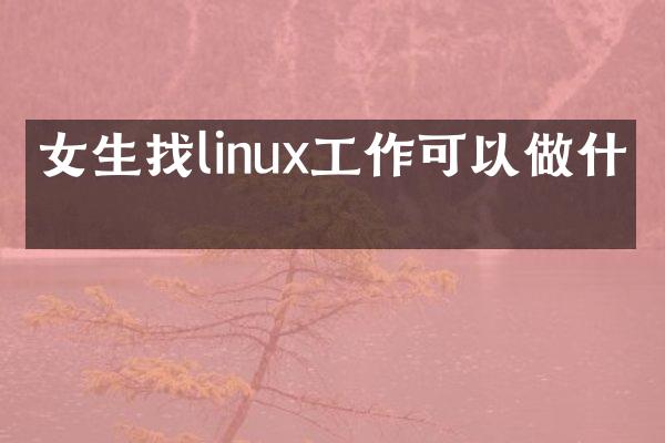 女生找linux工作可以做什么
