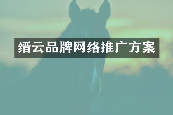 缙云品牌网络推广方案