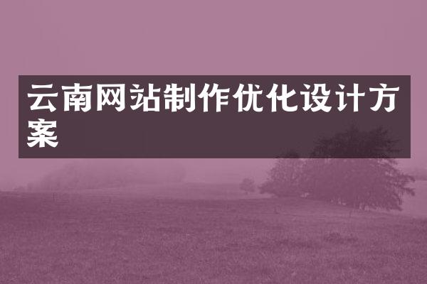 云南网站制作优化设计方案