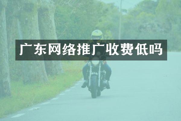 广东网络推广收费低吗