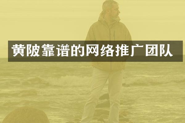 黄陂靠谱的网络推广团队