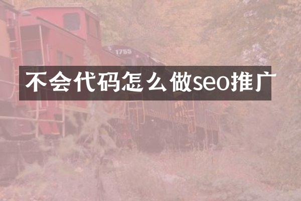 不会代码怎么做seo推广
