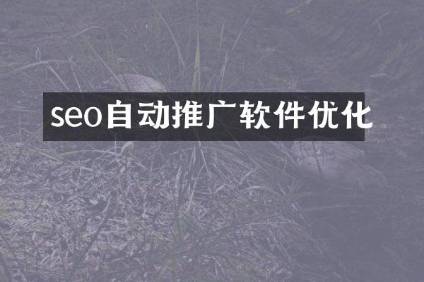 seo自动推广软件优化