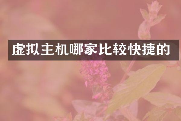 虚拟主机哪家比较快捷的