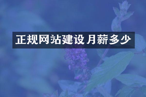 正规网站建设月薪多少