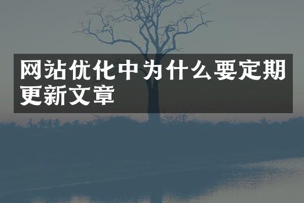 网站优化中为什么要定期更新文章