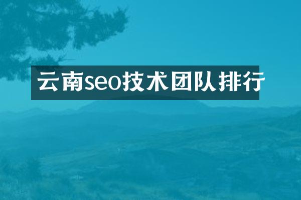 云南seo技术团队排行