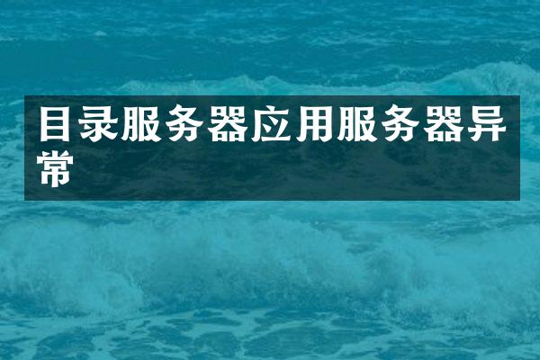目录服务器应用服务器异常