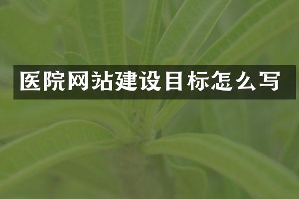 医院网站建设目标怎么写