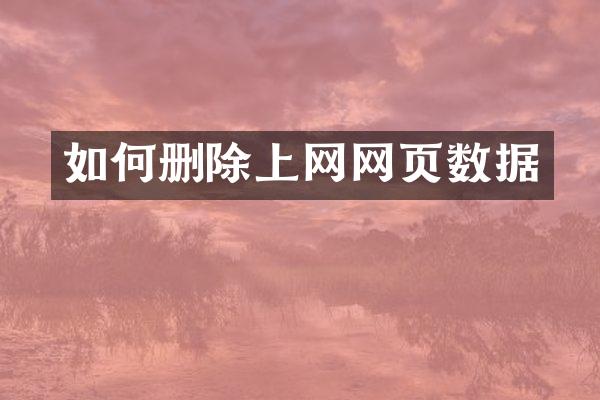 如何删除上网网页数据