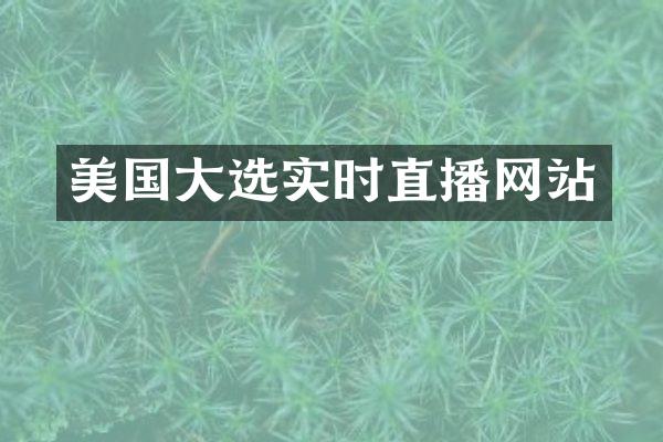 美国大选实时直播网站
