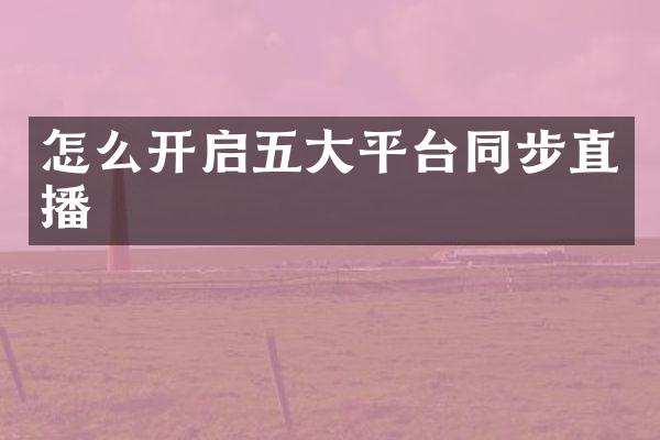 怎么开启五大平台同步直播