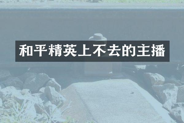 和平精英上不去的主播