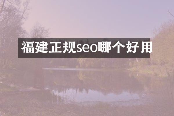 福建正规seo哪个好用