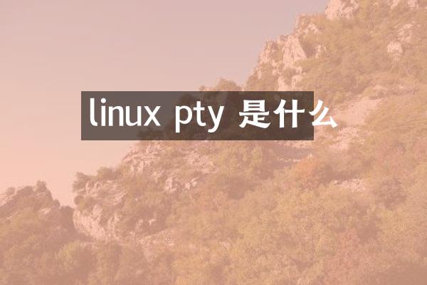 linux pty 是什么