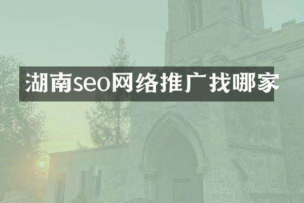 湖南seo网络推广找哪家
