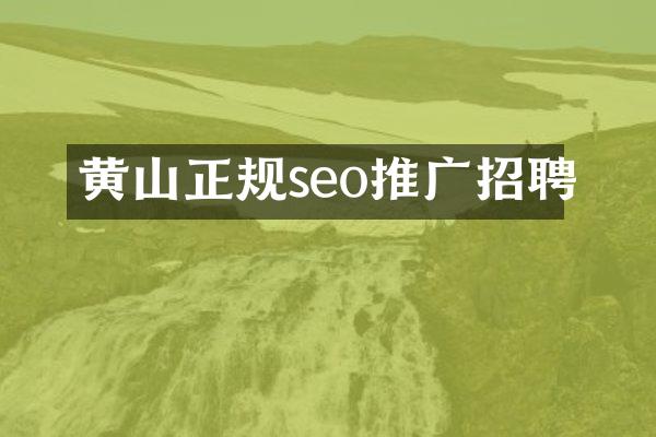 黄山正规seo推广招聘