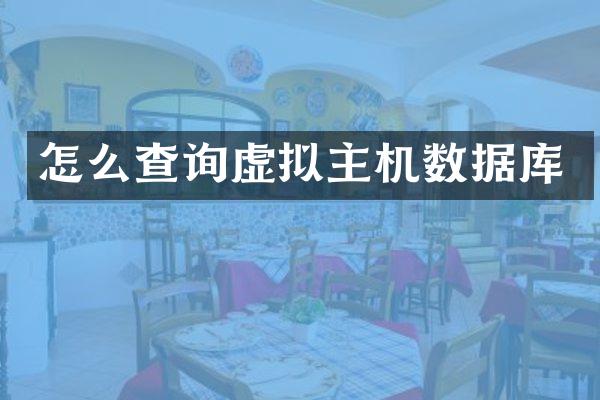 怎么查询虚拟主机数据库