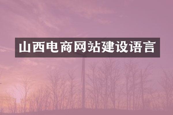山西电商网站建设语言