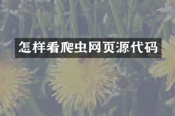 怎样看爬虫网页源代码