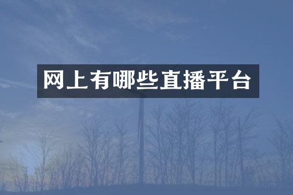 网上有哪些直播平台