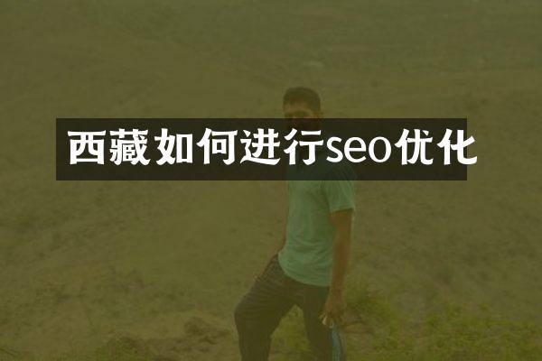 西藏如何进行seo优化