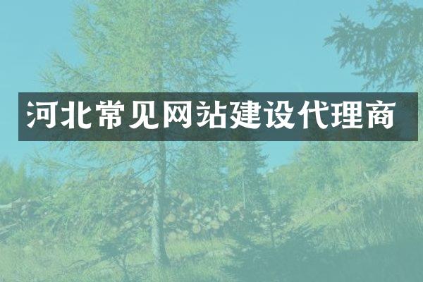 河北常见网站建设代理商