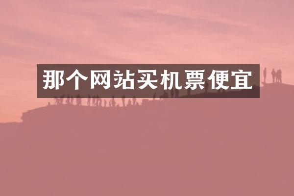 那个网站买机票便宜
