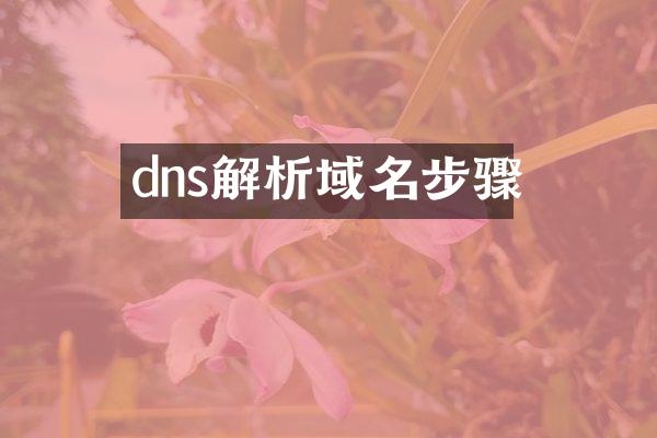 dns解析域名步骤