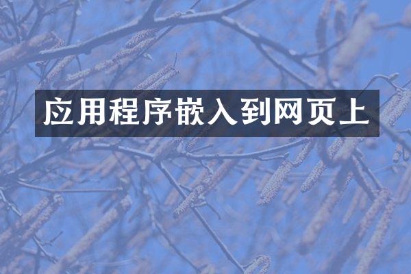 应用程序嵌入到网页上