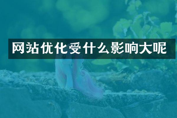网站优化受什么影响大呢