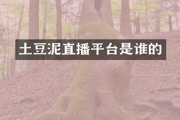 土豆泥直播平台是谁的
