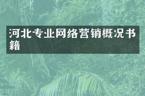 河北专业网络营销概况书籍