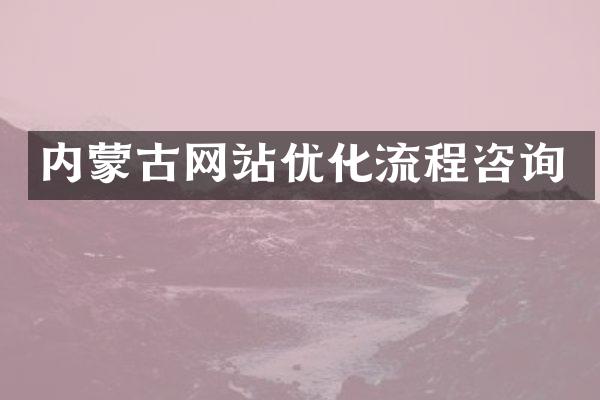 内蒙古网站优化流程咨询