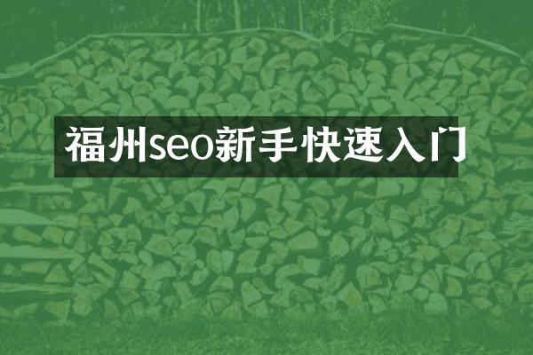 福州seo新手快速入门