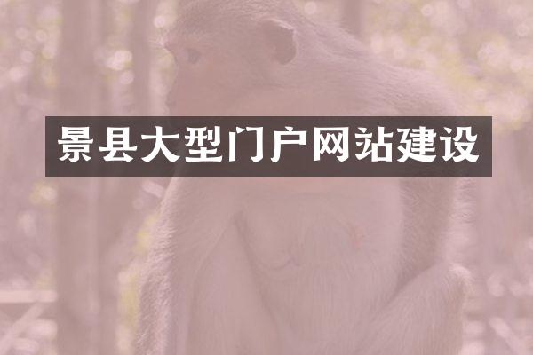 景县大型门户网站建设