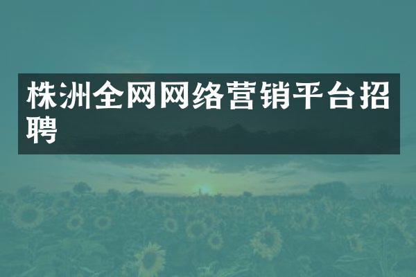 株洲全网网络营销平台招聘