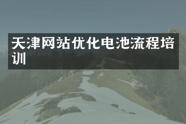 天津网站优化电池流程培训