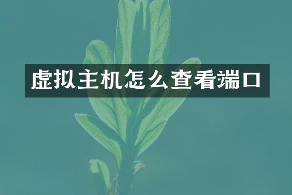 虚拟主机怎么查看端口