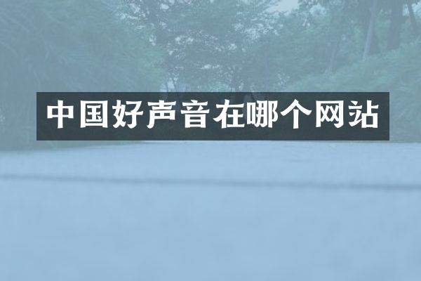 中国好声音在哪个网站