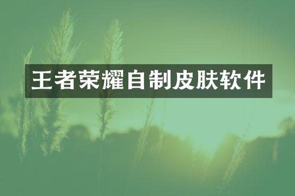 王者荣耀自制皮肤软件