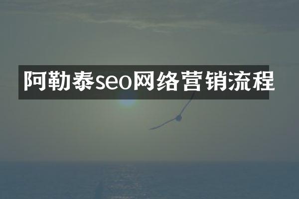阿勒泰seo网络营销流程