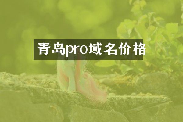 青岛pro域名价格