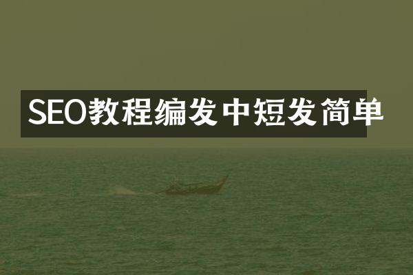 SEO教程编发中短发简单