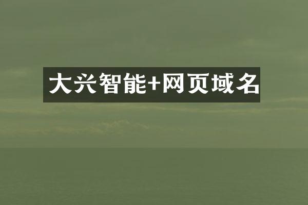 大兴智能+网页域名